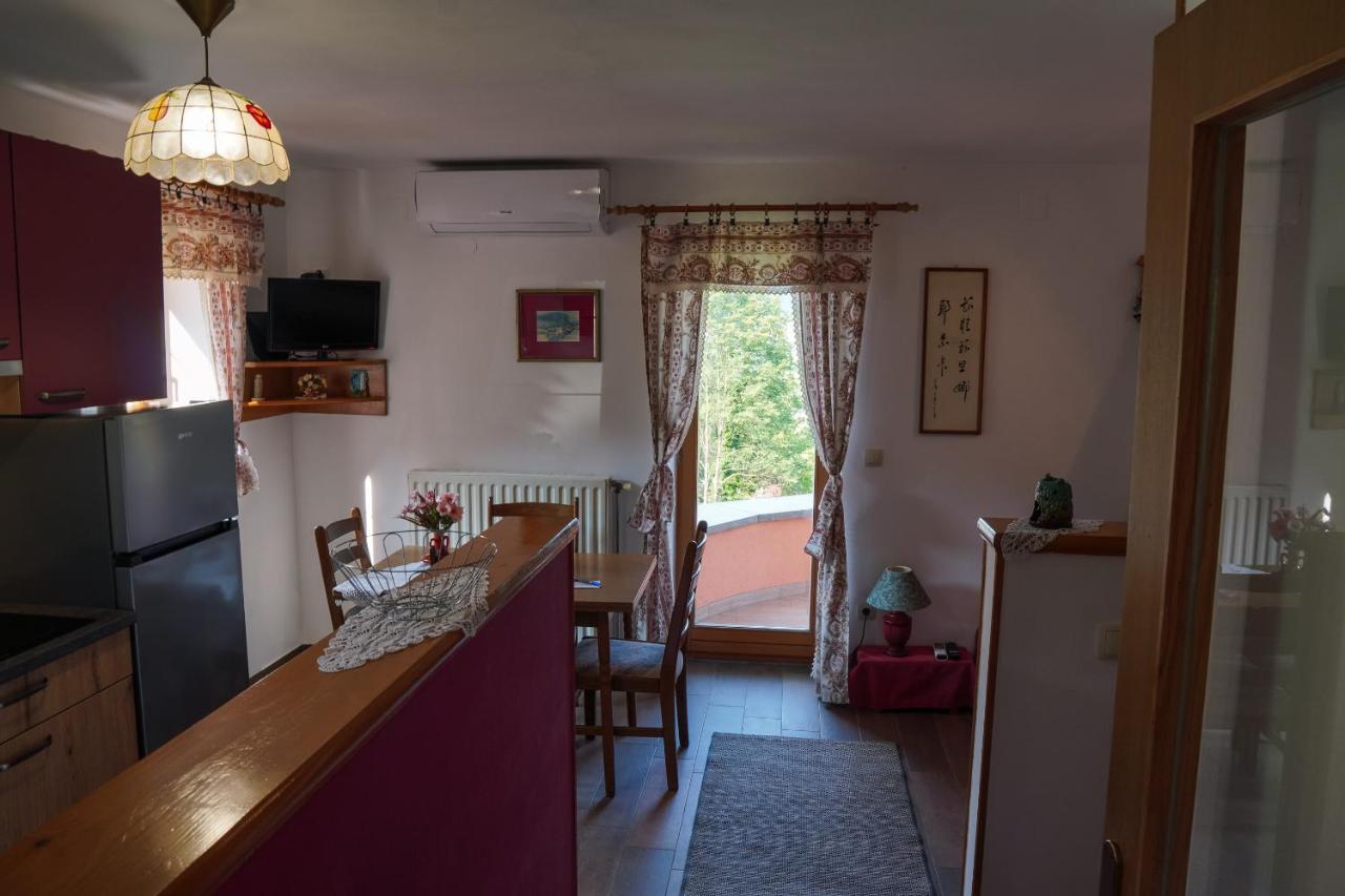 Apartma Pr' Gamilcu Tolmin